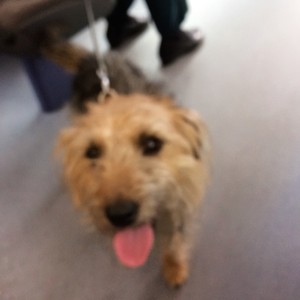 What Friends Are For