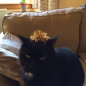 The Optimist Reflects on 2015